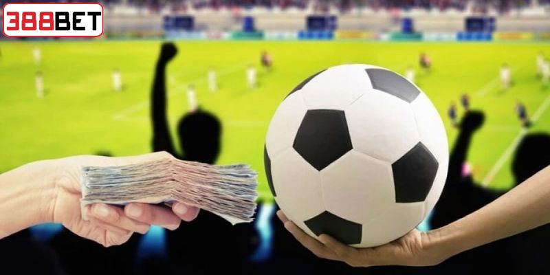 Phương pháp cố định (Flat Betting)