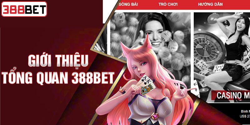  Thông tin chung về sân chơi hấp dẫn 388BET